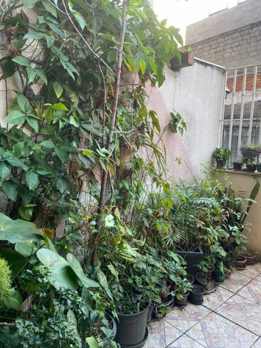 Conheça dbb1666f-33ae-41a2-9ffa-c77695 do imóvel - Apartamento 1 quarto à venda Rio de Janeiro,RJ Centro - R$ 370.000 - CTAP11953 - 12 dbb1666f-33ae-41a2-9ffa-c77695 - 12
