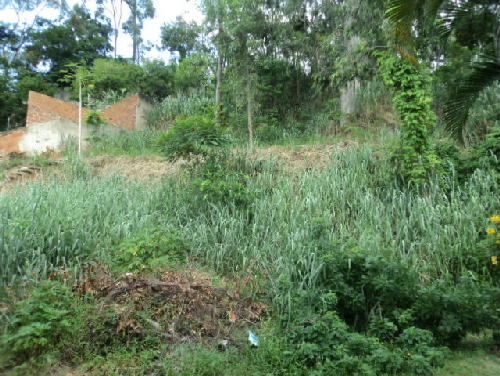FOTO2 - 4