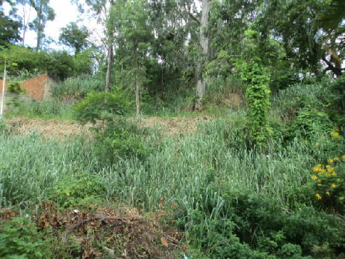 FOTO3 - 5