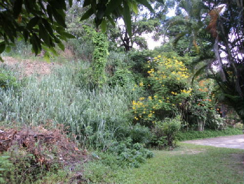FOTO4 - 6