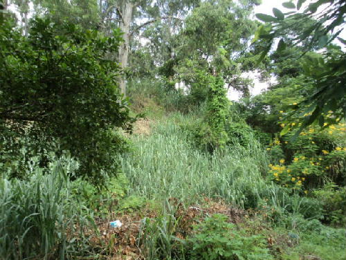 FOTO5 - 7
