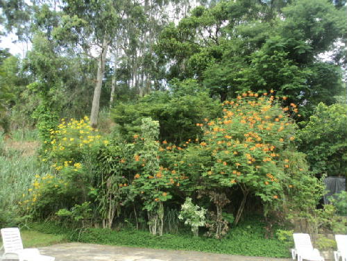 FOTO6 - 8