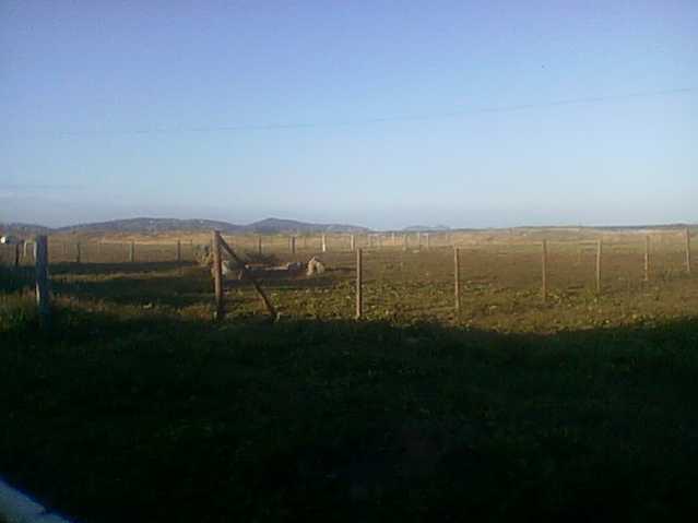 lote 7 2 - 3