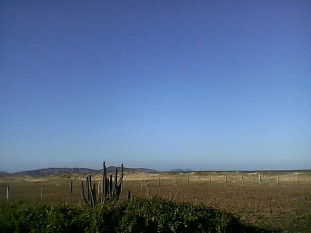 lote 7 - 5
