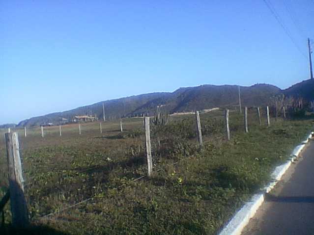 lote 82 - 1