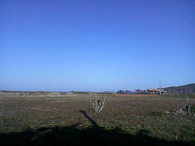 lote 8 - 3