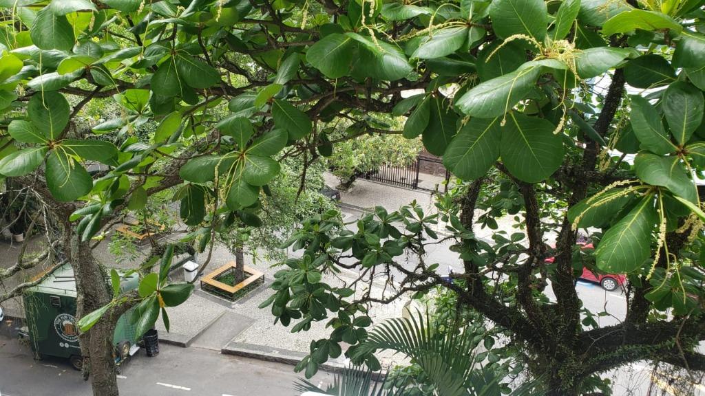 FOTO_11 - 11