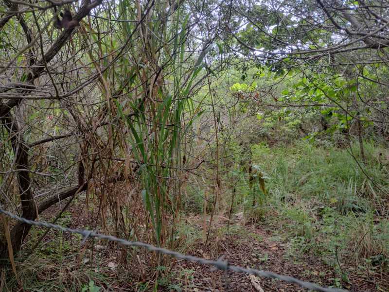 Conheça 27. do imóvel - Lote à venda Alameda Andorinhas, Marina, Armação dos Búzios - R$ 600.000 - BZ-AAT002 - 27 27. - 27