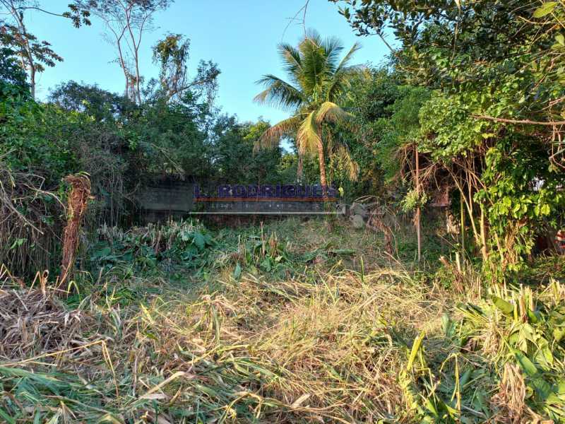 WhatsApp Image 2023-03-03 at 1 - 6