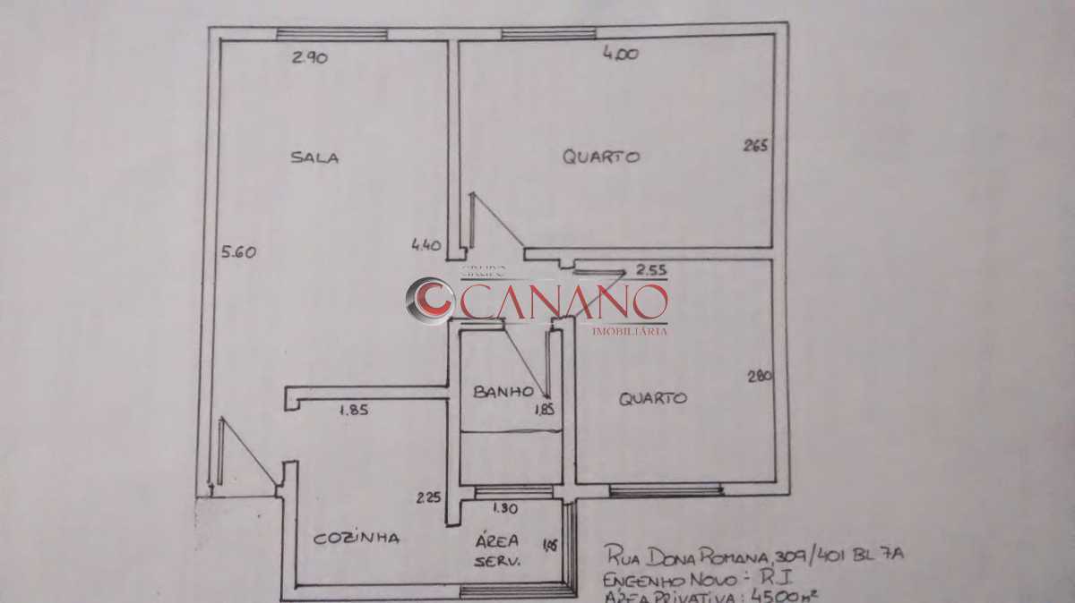planta - 17