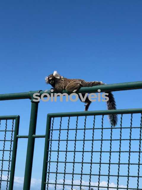 WhatsApp Image 2025-07-29 at 1 - 12