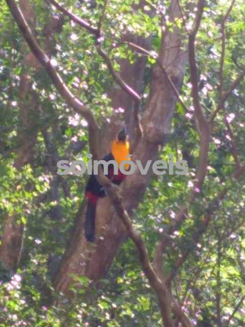 WhatsApp Image 2025-07-29 at 1 - 15