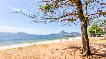 Apartamento 1 quarto à venda Glória, Rio de Janeiro - R$ 460.000 - MBAP11680