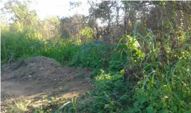 Conheça 1 do imóvel - Terreno Multifamiliar à venda Bananal (Ponta Negra), Maricá - R$ 2.000.000 - MAMF00004 - 1 1 - 1