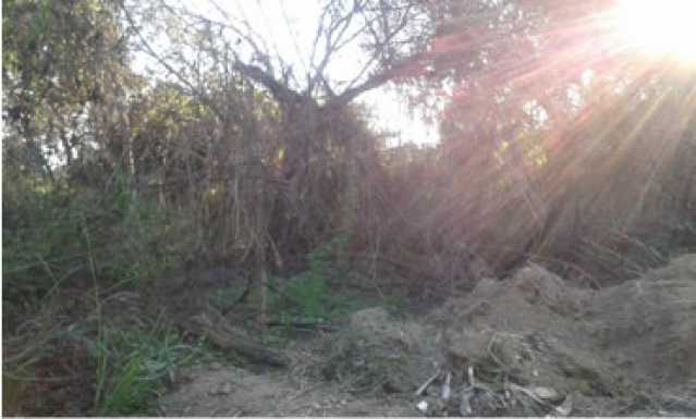 Conheça 3 do imóvel - Terreno Multifamiliar à venda Bananal (Ponta Negra), Maricá - R$ 2.000.000 - MAMF00004 - 3 3 - 3
