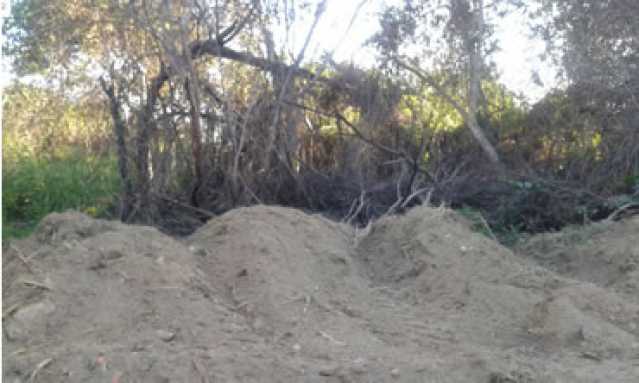 Conheça 4 do imóvel - Terreno Multifamiliar à venda Bananal (Ponta Negra), Maricá - R$ 2.000.000 - MAMF00004 - 4 4 - 4