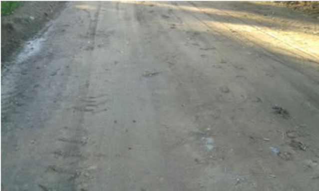 Conheça 5 do imóvel - Terreno Multifamiliar à venda Bananal (Ponta Negra), Maricá - R$ 2.000.000 - MAMF00004 - 5 5 - 5