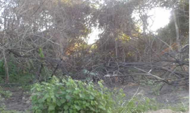 Conheça 6 do imóvel - Terreno Multifamiliar à venda Bananal (Ponta Negra), Maricá - R$ 2.000.000 - MAMF00004 - 6 6 - 6