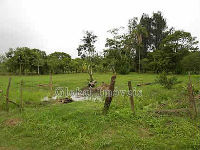 FOTO1 - 1