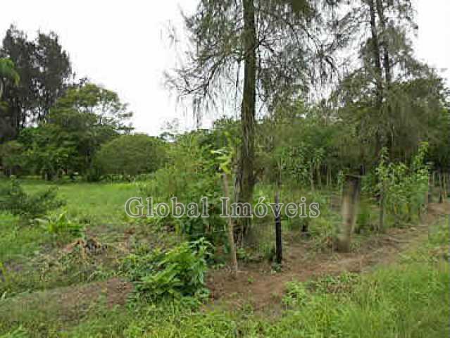 FOTO2 - 2