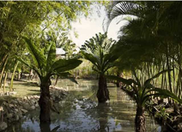 Conheça Condomínio - Lago do imóvel - Terreno Unifamiliar à venda Ubatiba, Maricá - R$ 360.000 - MAUF00262 - 14 Condomínio - Lago - 14