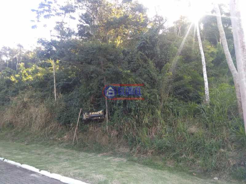 Lote - 3