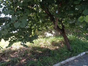 Terreno Unifamiliar à venda Inoã, Maricá - R$ 116.000 - MAUF00345