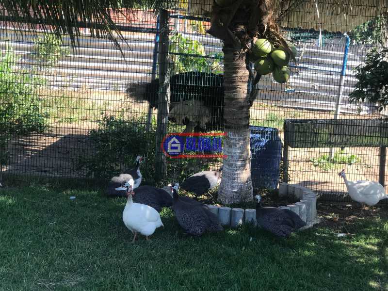 Conheça 3 do imóvel - Terreno Unifamiliar à venda Jardim Interlagos (Ponta Negra), Maricá - R$ 320.000 - MAUF00431 - 3 3 - 3