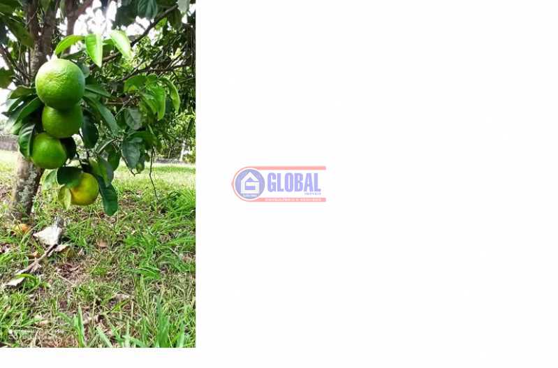 Conheça 2c do imóvel - Sítio 2300m² à venda Ubatiba, Maricá - R$ 685.000 - MASI30026 - 9 2c - 9