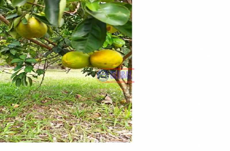 Conheça 17c do imóvel - Sítio 2300m² à venda Ubatiba, Maricá - R$ 685.000 - MASI30026 - 11 17c - 11