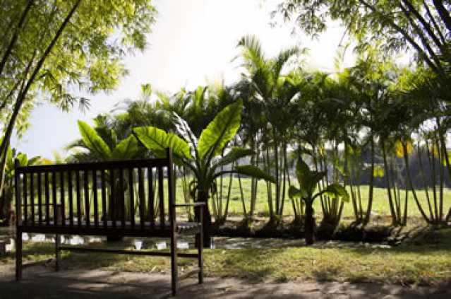 Conheça Condomínio -Lago do imóvel - Terreno Unifamiliar à venda Ubatiba, Maricá - R$ 405.000 - MAUF00535 - 10 Condomínio -Lago - 10