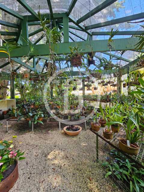 Conheça ORQUIDÁRIO do imóvel - Casa em Condomínio 7 quartos à venda Barra da Tijuca, Rio de Janeiro - R$ 6.000.000 - BFCN70005 - 6 ORQUIDÁRIO - 6