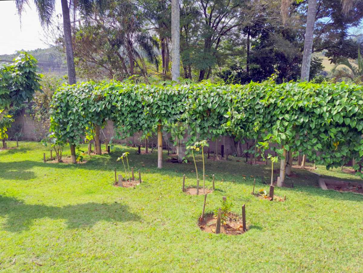Conheça 7 do imóvel - Chácara 3157m² à venda Itatiba,SP Parque Nova Xampirra - R$ 900.000 - VICH30078 - 7 7 - 7