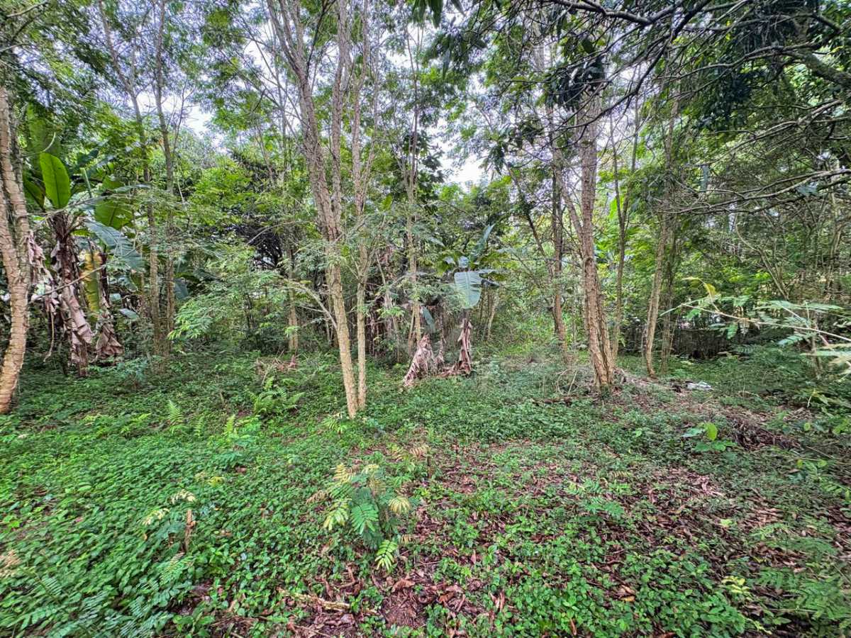 Conheça WhatsApp Image 2026-10-30 at 1 do imóvel - Terreno Residencial à venda Itatiba,SP Parque Nova Xampirra - R$ 450.000 - VITR01267 - 5 WhatsApp Image 2026-10-30 at 1 - 5