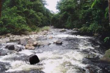 Fazenda 1700000m² à venda Parque Mambucaba (Mambucaba), Angra dos Reis - R$ 11.999.000 - 268FA
