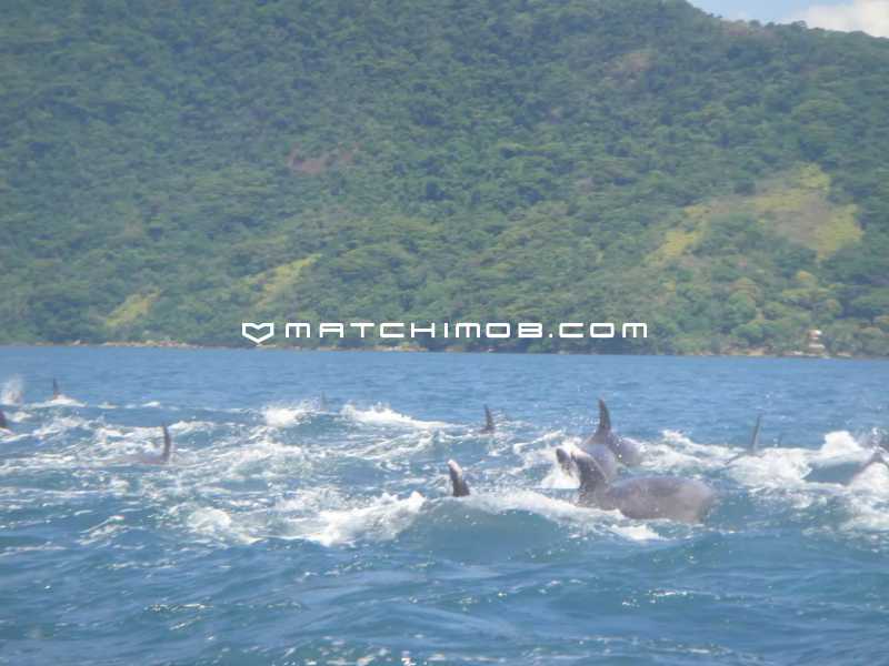 Conheça 6 do imóvel - Ilha Grande em Angra dos Reis - 346CA - 6 6 - 6