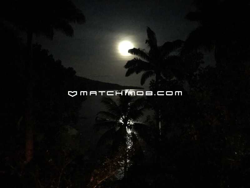 Conheça 13 do imóvel - Ilha Grande em Angra dos Reis - 346CA - 13 13 - 13