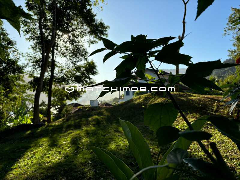 Conheça Condominio Portogalo do imóvel - Terreno de 2.400 metros no Portogalo em Angra dos Reis - 504TE - 8 Condominio Portogalo - 8
