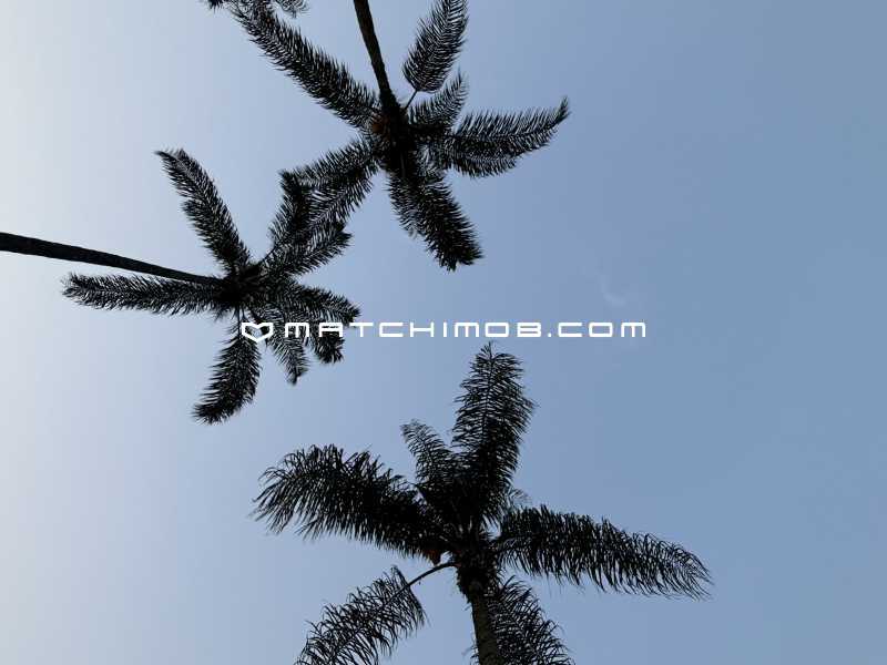 Conheça Condominio Portogalo do imóvel - Village II no Portogalo em Angra dos Reis - 522CA - 4 Condominio Portogalo - 4