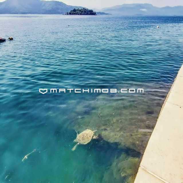Conheça Camorim Pequeno do imóvel - Casa beira mar à venda no Camorim Pequeno - Angra dos Reis - 694CA - 10 Camorim Pequeno - 10