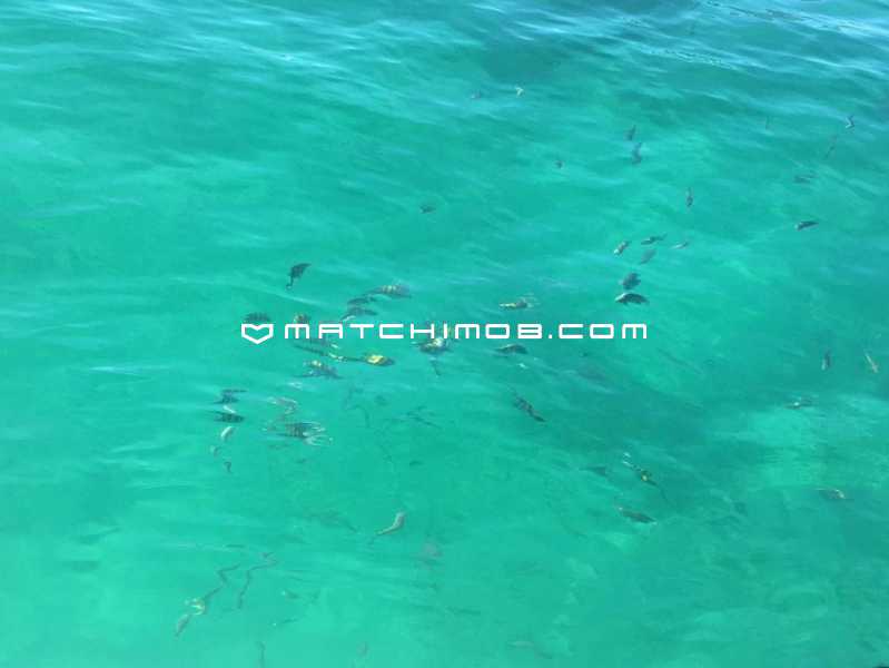 Conheça Píer 103 do imóvel - Cobertura à venda frente Mar no Píer 103 - Angra dos Reis - 759CO - 23 Píer 103 - 23