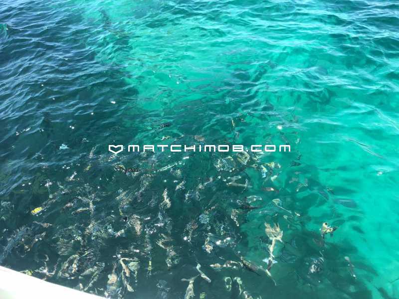 Conheça Píer 103 do imóvel - Cobertura à venda frente Mar no Píer 103 - Angra dos Reis - 759CO - 22 Píer 103 - 22