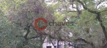 Apartamento 3 quartos à venda Flamengo, Rio de Janeiro - R$ 1.350.000 - CIAP30261