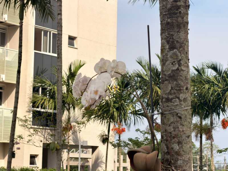 Conheça 5e3b2631-b73f-4420-831a-2570e1 do imóvel - Apartamento à venda Rua Escritor Rodrigo Melo Franco, Barra da Tijuca, Rio de Janeiro - R$ 990.000 - AA02 - 25 5e3b2631-b73f-4420-831a-2570e1 - 25