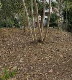 Oportunidade Única - Terreno Pendotiba - 3006