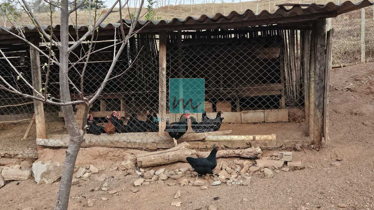 REDUÇÃO DE PREÇO !! - CHARMOSA FAZENDA 17.5 ha EM SÃO BARTOLOMEU - MBFA40003