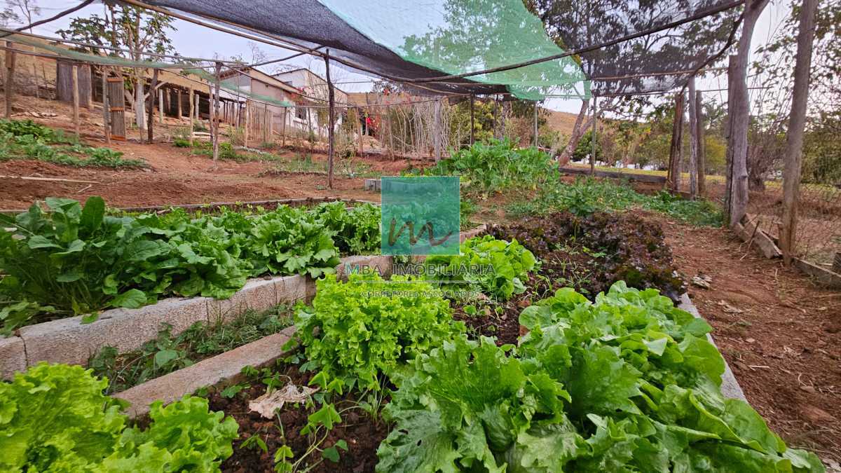 REDUÇÃO DE PREÇO !! - CHARMOSA FAZENDA 17.5 ha EM SÃO BARTOLOMEU - MBFA40003