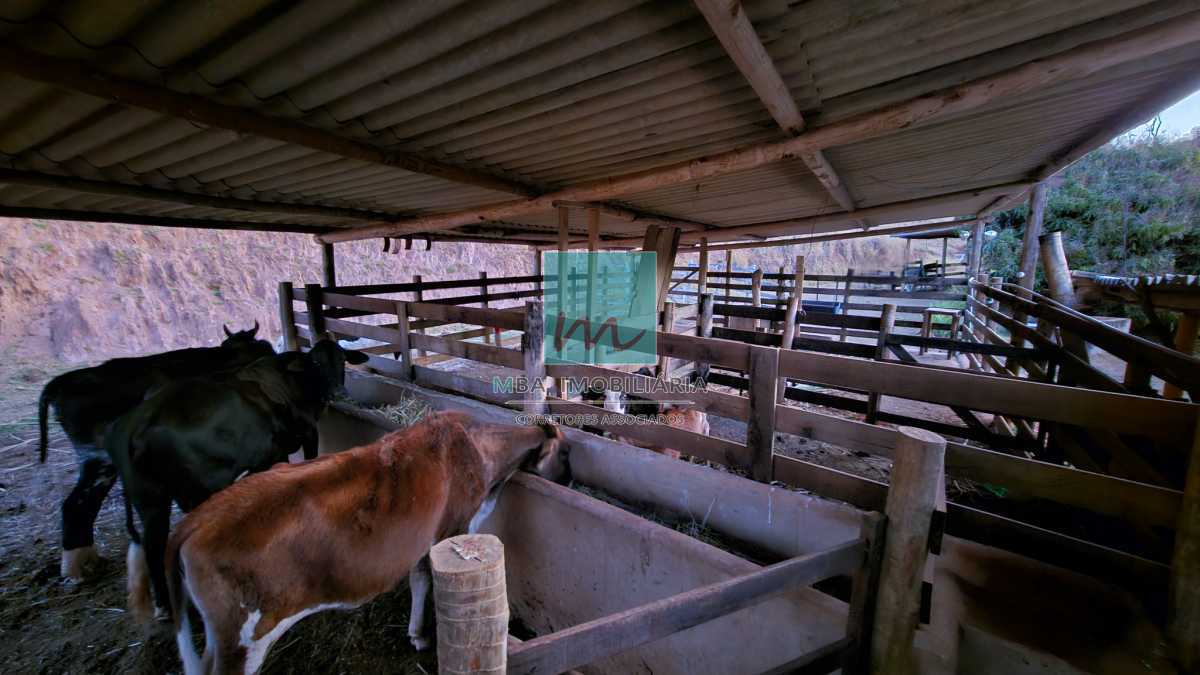 REDUÇÃO DE PREÇO !! - CHARMOSA FAZENDA 17.5 ha EM SÃO BARTOLOMEU - MBFA40003