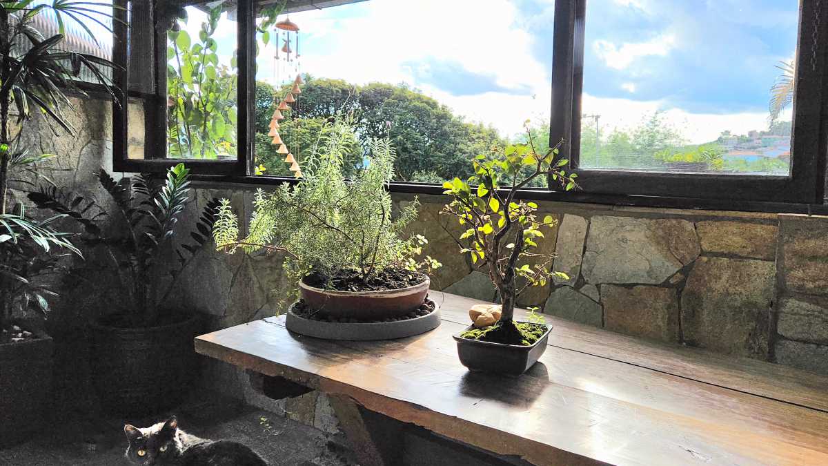 Vendido - Otima casa a venda no centro de Ouro Preto - MBCA50001