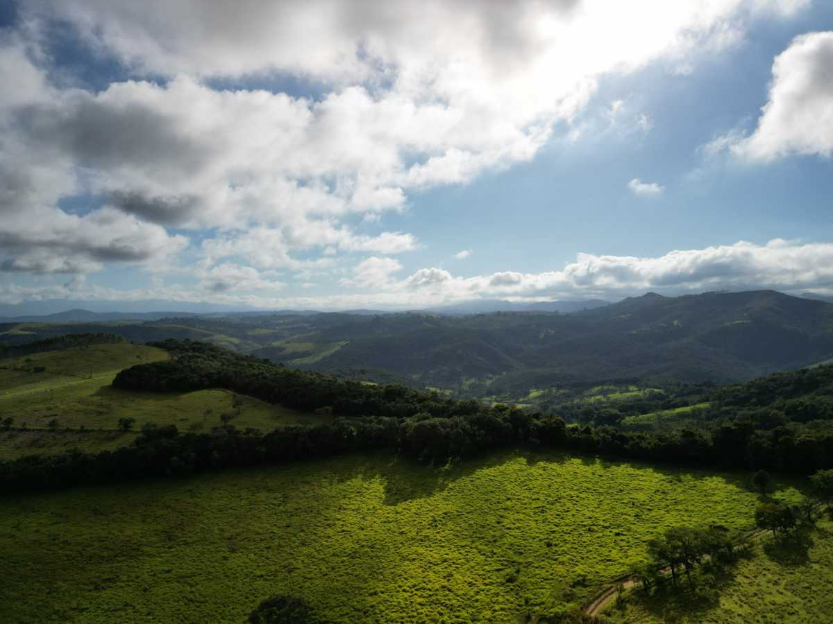 Vendido - LUXOSA FAZENDA A VENDA EM SANTO ANTÔNIO DO LEITE, OURO PRETO - MBFA60003